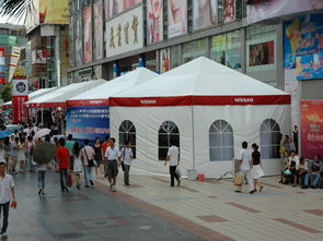 歐式篷房 美觀實用的多功能辦公解決方案